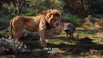 Рождение Симбы - \"Король лев\" отрывок из фильма - YouTube
