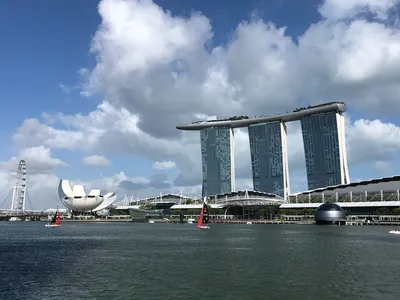 Отели Сингапура: особенности, цены, лучшие отели Сингапура, недорогие и  дешевые отели, хостелы, где забронироватьOlgatravel.com
