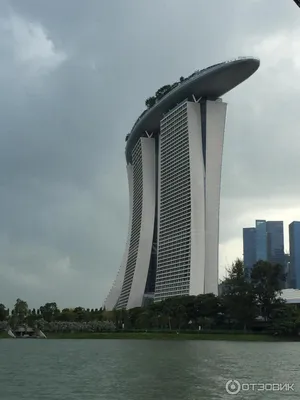 ГОСТИНИЦА MARINA BAY SANDS в Сингапуре, Сингапур от 76528 ₽ — Яндекс  Путешествия