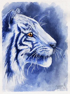 портретный синий тигр в розовых костлявых цветках в водоизоляции на белом  фоне является символом 2022. Иллюстрация штока - иллюстрации насчитывающей  шарж, мило: 233785950