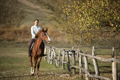 Лошади Кизлярского конного клуба «Калинка» приняли участие в скачках в  Пятигорске | Информационный портал РИА \"Дагестан\"