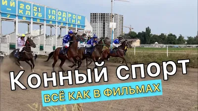 В конных скачках на «Ысыахе Туймаады-2023» примут участие лошади из 10  улусов