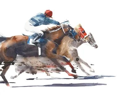 Казахстанская лошадь выиграла престижные скачки в Дубае