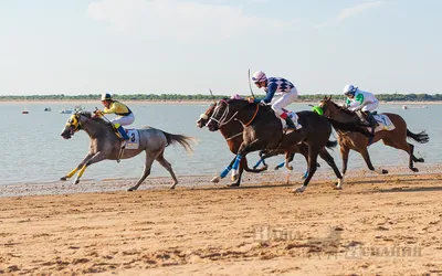 Как проходят скачки на лошадях по пляжу в Санлукаре - Фото-блог путешествий  по Испании - Наша Испания