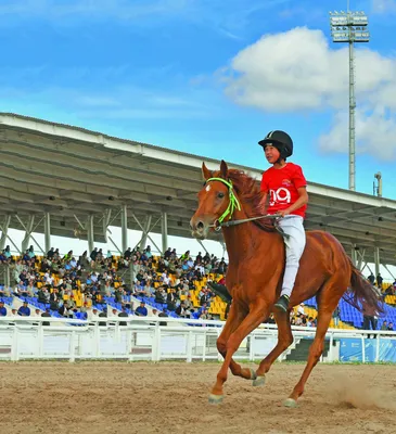 В Калмыкии прошли скачки на лошадях и верблюдах | 10.05.2023 | Новости  Элисты - БезФормата