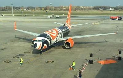 SkyUp эвакуировала из Украины свой последний самолет — Delo.ua