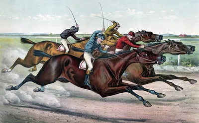 Выигрывая скаковые лошади от акведука Редакционное Фото - изображение  насчитывающей симпатично, мощно: 144965191