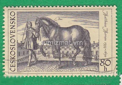 Скаковая лошадь на следе травы Стоковое Изображение - изображение  насчитывающей детали, каштан: 115517535