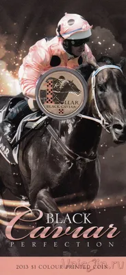 Небывалый результат: лошади из Абхазии заняли призовые места на скачках в  Краснодаре - 19.07.2020, Sputnik Абхазия