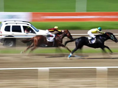 Грациозные лошади и умелые наездники: яркие кадры с открытия скакового  сезона на ростовском ипподроме