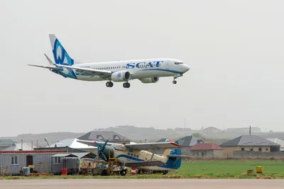 Самолет SCAT столкнулся с птицей и совершил вынужденную посадку в Алматы