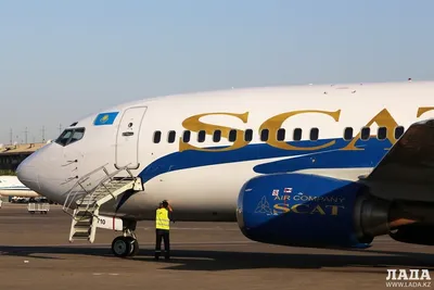 Укороченный отпуск: пассажиры авиакомпании Scat не смогли вовремя улететь  за границу