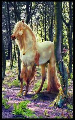 Лошадь сказки стоковое фото. изображение насчитывающей бело - 43668768