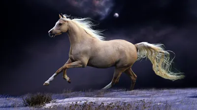 Horse of \" | Лошади, Сказки