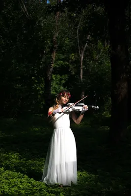 Загадочный свет скрипки: удивительное фото в формате jpg