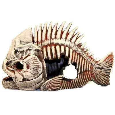 Окаменелый скелет доисторической рыбы …» — создано в Шедевруме