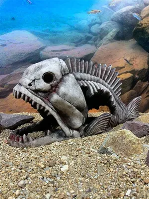 Грот DEKSI Скелет рыбы № 904 (40x15x18см.) купить по цене 2900 ₽ в  интернет-магазине KazanExpress