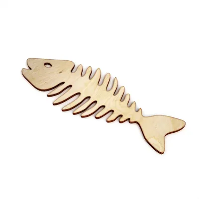 Рыбы Скелет Морской - Бесплатное фото на Pixabay - Pixabay