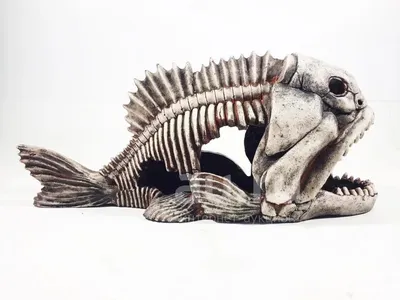 Скелет рыбы (ID#1408285488), цена: 500 ₴, купить на Prom.ua
