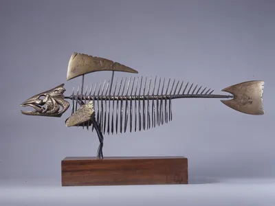 Скелет рыбы – Muraferma