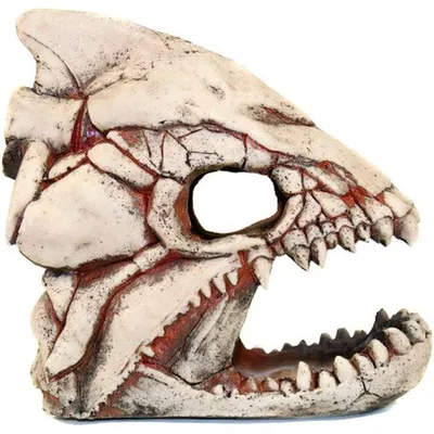 Бутафорский скелет Рыбы купить за 511 грн. в Fancydress