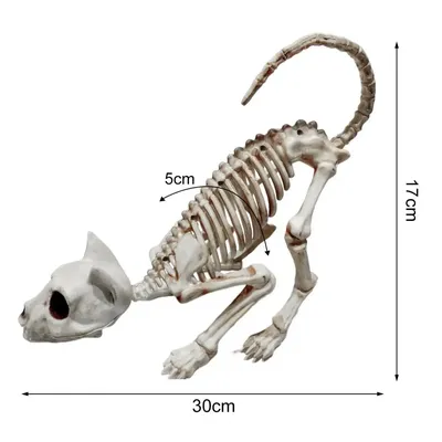Скелет статуя кота без запаха, украшение на Хэллоуин, скелет кошки, жуткие  кости животных | AliExpress