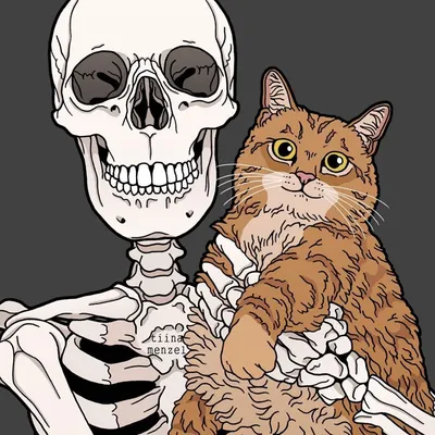 красивое фото :: Хэллоуин-кот :: скелет :: коты / смешные картинки и другие  приколы: комиксы, гиф анимация, видео, лучший интеллектуальный юмор.