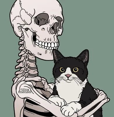 Скелет кошки на Хэллоуин, товары для вечеринок на Хэллоуин реалистичного  размера, декор для вечеринки в помещении и в саду – лучшие товары в  онлайн-магазине Джум Гик