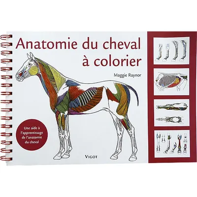 Иллюстрация Скелет лошади в стиле животные | Illustrators.ru