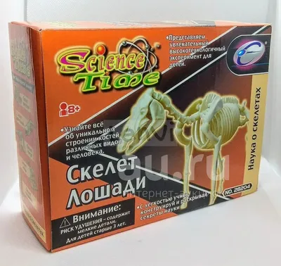 Бесплатный STL файл Скелет лошади 🎲・Идея 3D-печати для скачивания・Cults
