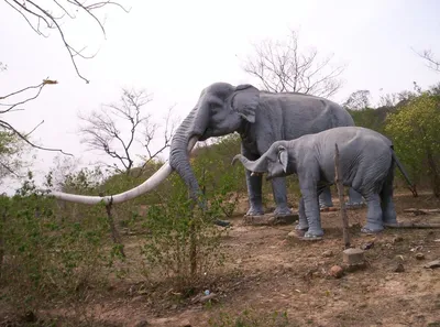Зебра, слон и бегемот востановленные палеонтологическим методом / скелеты  :: бегемот :: слон :: Зебра :: Палеонтология - JoyReactor