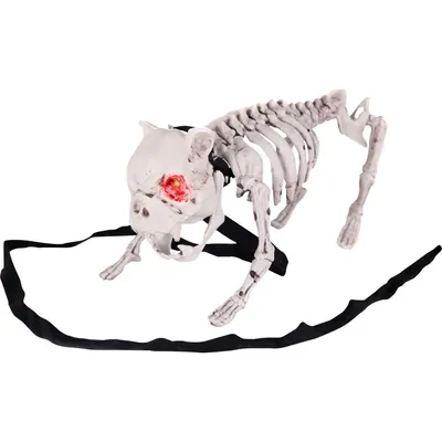 Скелет собаки гонится за костью 4k» — создано в Шедевруме