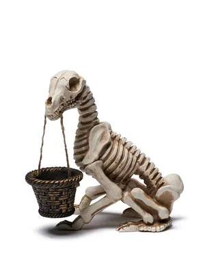 Ужасы Скелет Собаки: купить декоративный скелет собаки со светящимися  глазами в магазине Toyszone.ru