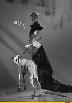Кости собаки арт - 64 фото