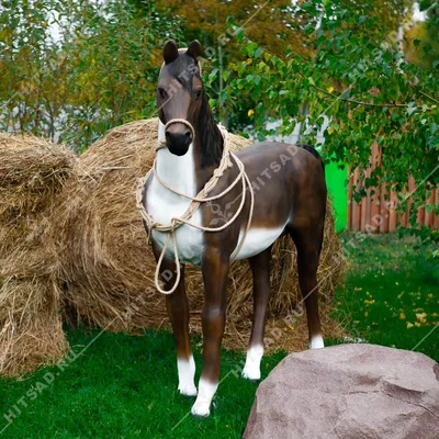 Самый маленький конь в мире найден в Польше