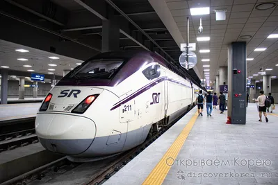 Из Киева в Варшаву будет курсировать скоростной поезд - Закордон
