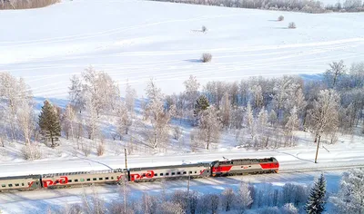 Скорый поезд «Новокузнецк – Новосибирск» перевёз более 28 тысяч пассажиров  | ОБЩЕСТВО | АиФ Кузбасс