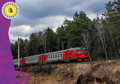 Железная дорога деревянная BRIO скорый поезд купить по цене 2602 ₽ в  интернет-магазине Детский мир