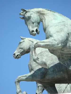 картинки : памятник, статуя, Лошадь, Жеребец, Скульптура, лошади,  Изобразительное искусство, Конь как млекопитающее 2304x3072 - - 763661 -  красивые картинки - PxHere