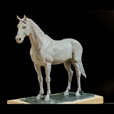 Скульптура лошади фото фотографии