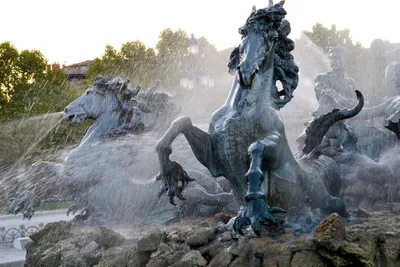 Топ-10 необычных памятников с лошадьми | Ведомости законодательного  собрания НСО