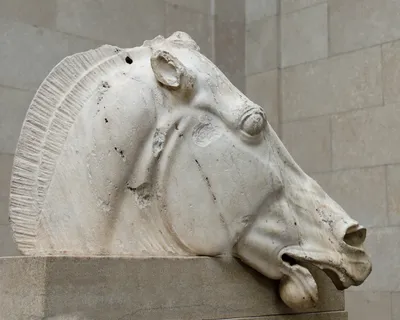Голова лошади (т. н. «Лошадиная голова Медичи-Риккарди»). Флоренция,  Национальный археологический музей.