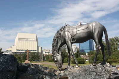 Фигура-скульптура \"Лошадь\" (3 вида) купить в интернет магазине  Екатеринбург, цены, недорого | Домашняя ферма