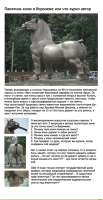 Фигура Конь U08982 купить за 120 000 руб. ЦЕНА Снижена - Зимние скидки на  Садовые фигуры - животные