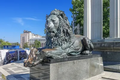 Фигура скульптура лев в Екатеринбурге
