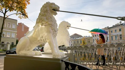 Китай Бронзовая скульптура дикого льва с шаровой фабрикой и производителями  |Куян