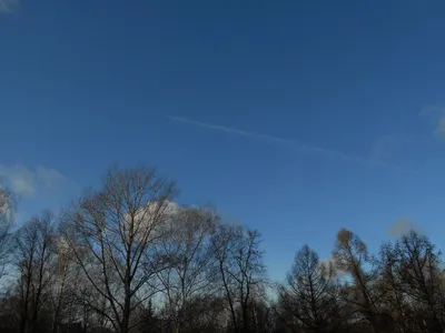 Заполонившие небо следы самолетов напугали волгоградцев: видео