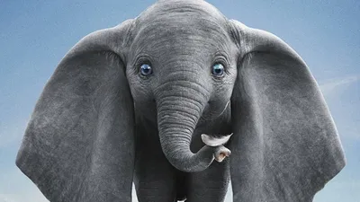 На острове Storybook дамбо слон Редакционное Фото - изображение  насчитывающей черный, фе: 202273036
