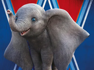 Купить Талисман Плюшевый Слон Слон Дамбо звук 33 см: отзывы, фото и  характеристики на Aredi.ru (9394645915)