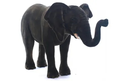 слон пнг картинки, скачать 18000+ слон PNG рисунок с прозрачным фоном